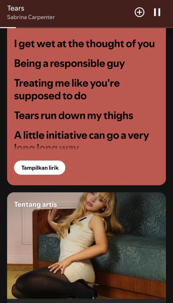 Gambar lirik lagu Tears dari Sabrina Carpenter di Spotify_BacaTulisanku