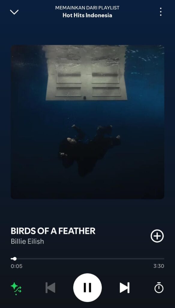 Gambar lagu Birds of a feather dari Bilie Eilish di spotify dan sedang trending di instagram_BacaTulisanku