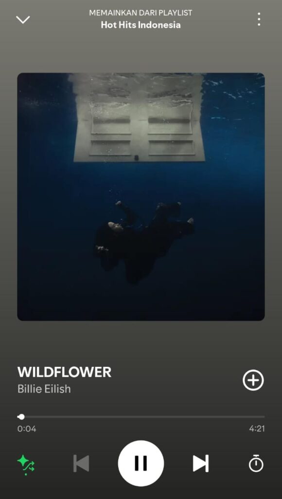 Lagu Wildflower dari Billie Eilish yang trending di spotify dan catatan instagram 
BacaTulisanku